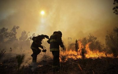 Planificación territorial, lo que está detrás de los incendios forestales