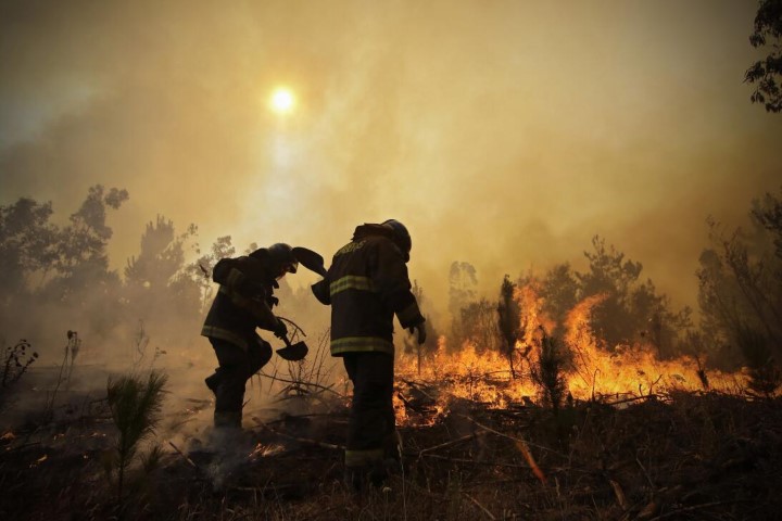 Planificación territorial, lo que está detrás de los incendios forestales
