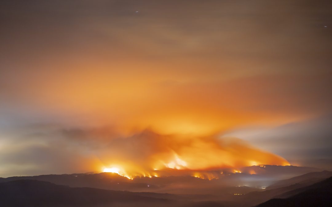 Zonas con plantaciones forestales fueron las más afectadas por incendios en el verano