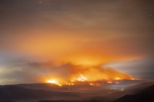 Incendios forestales 2023 / agenciagradual.com